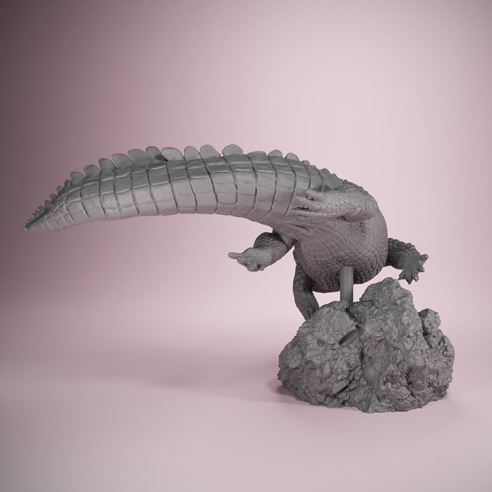 Coquille américaine Posture de - 3D Printing Liquid avis et prix