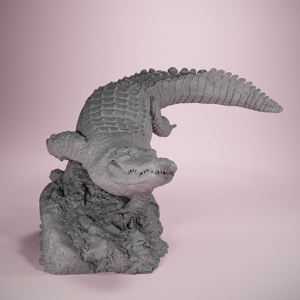 Coquille américaine Posture de - 3D Printing Liquid avis et prix